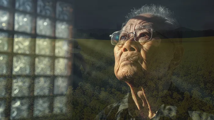 개인회생파산비용